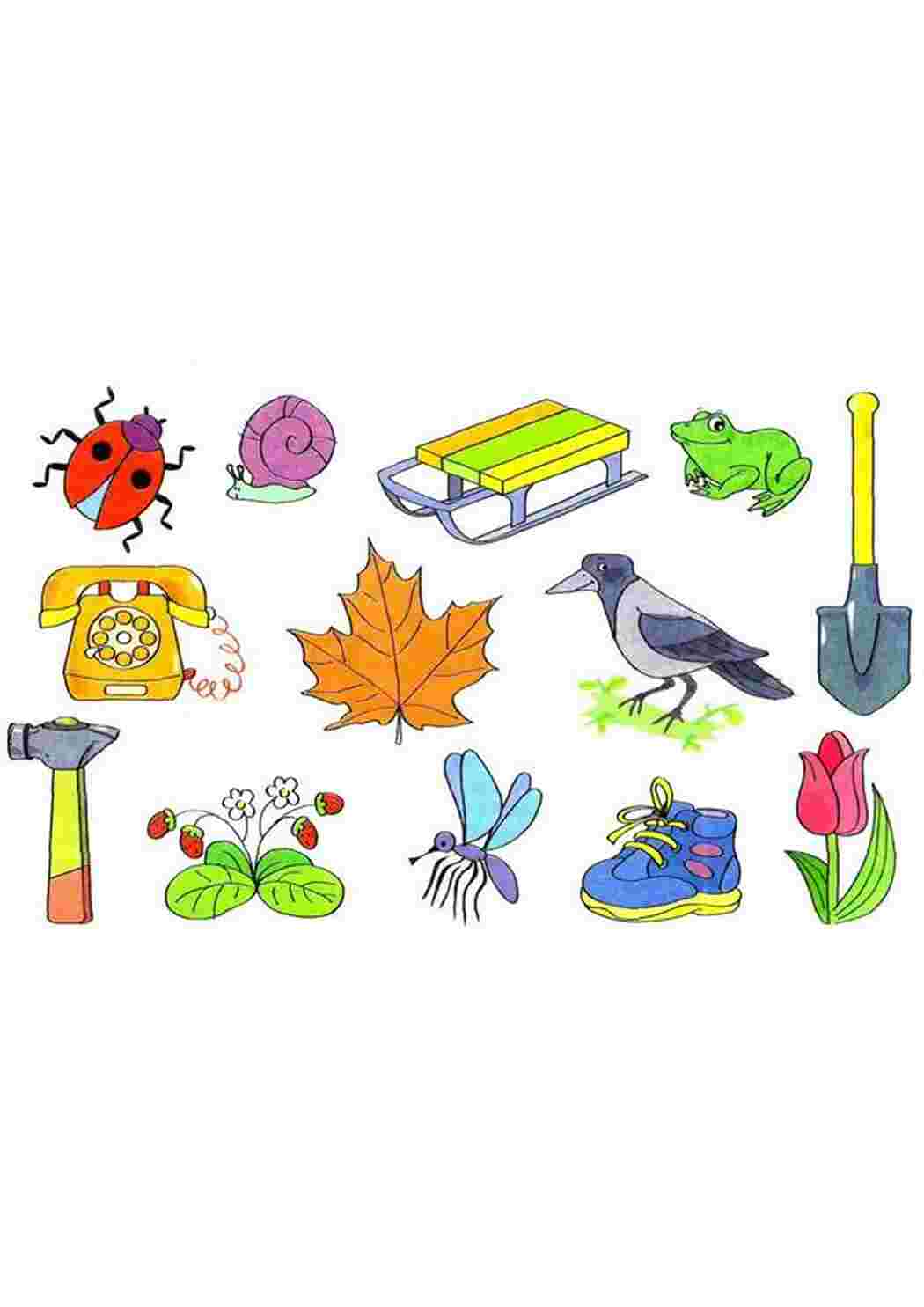 Раскраска назови одним словом для детей