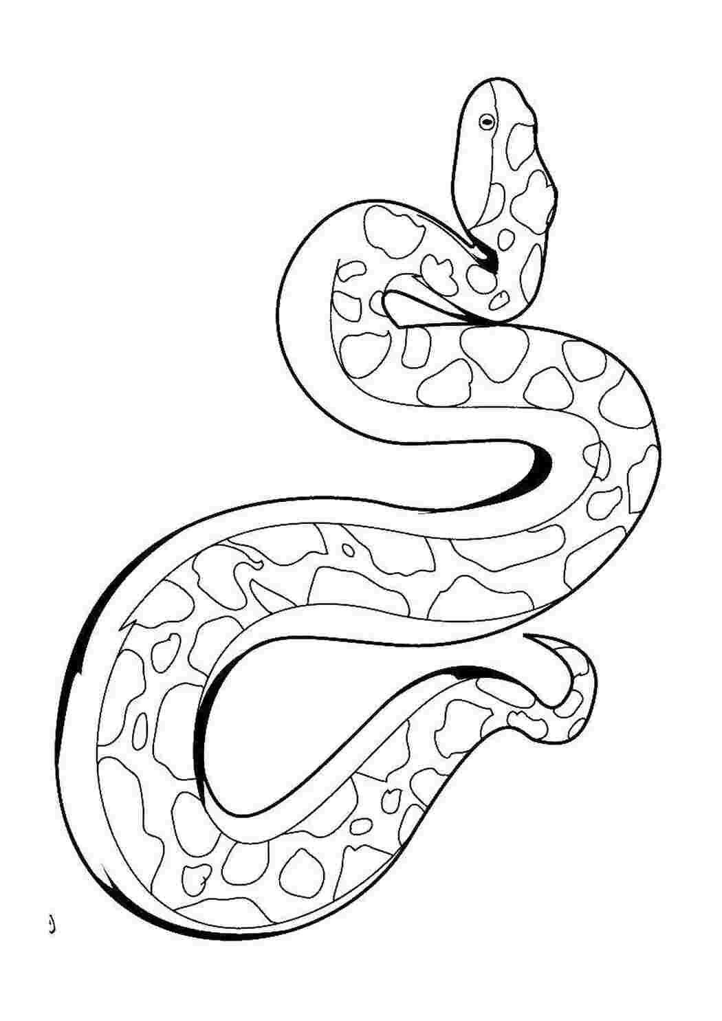 Раскраска Змея