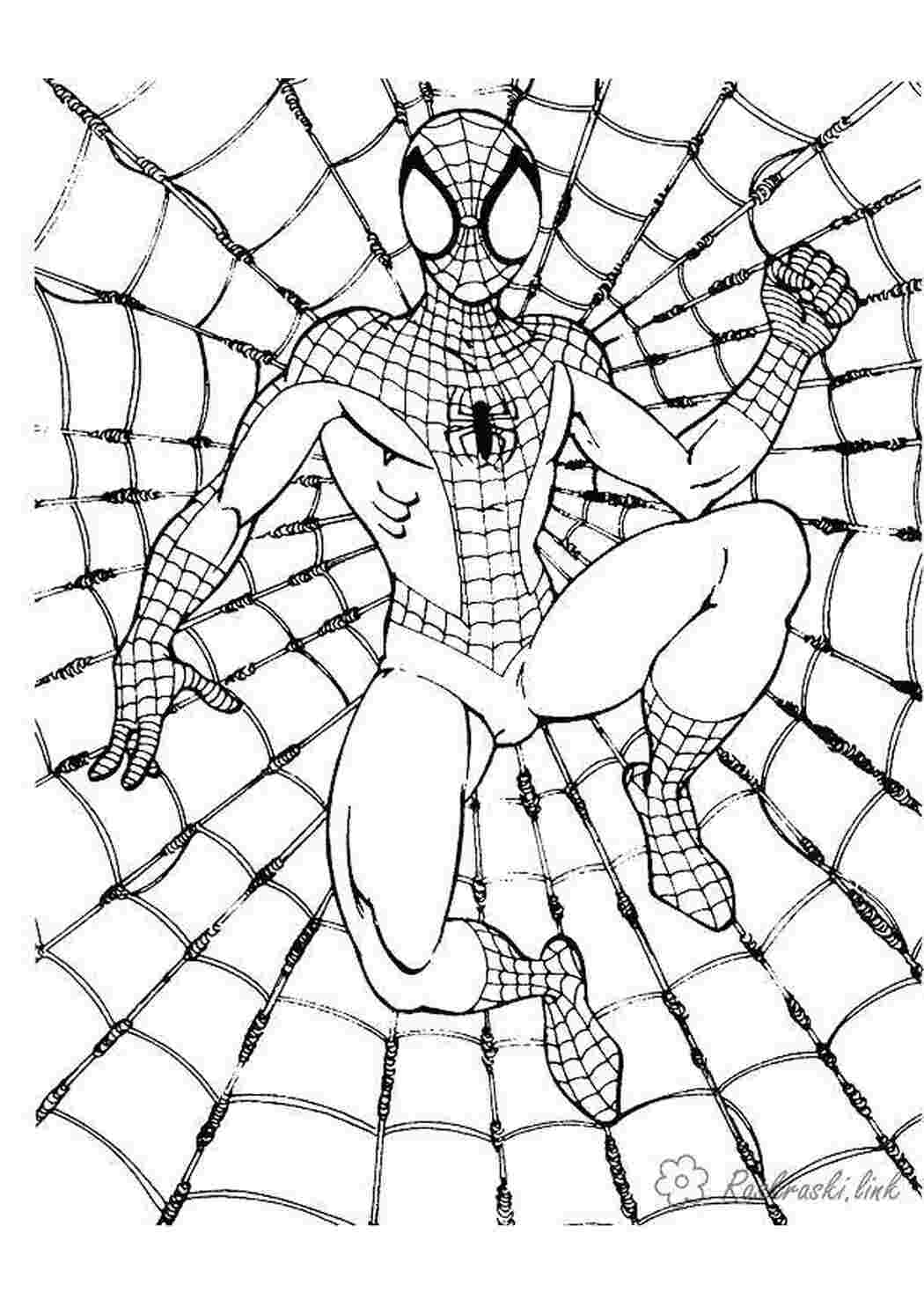 Человек паук сложные рисунки