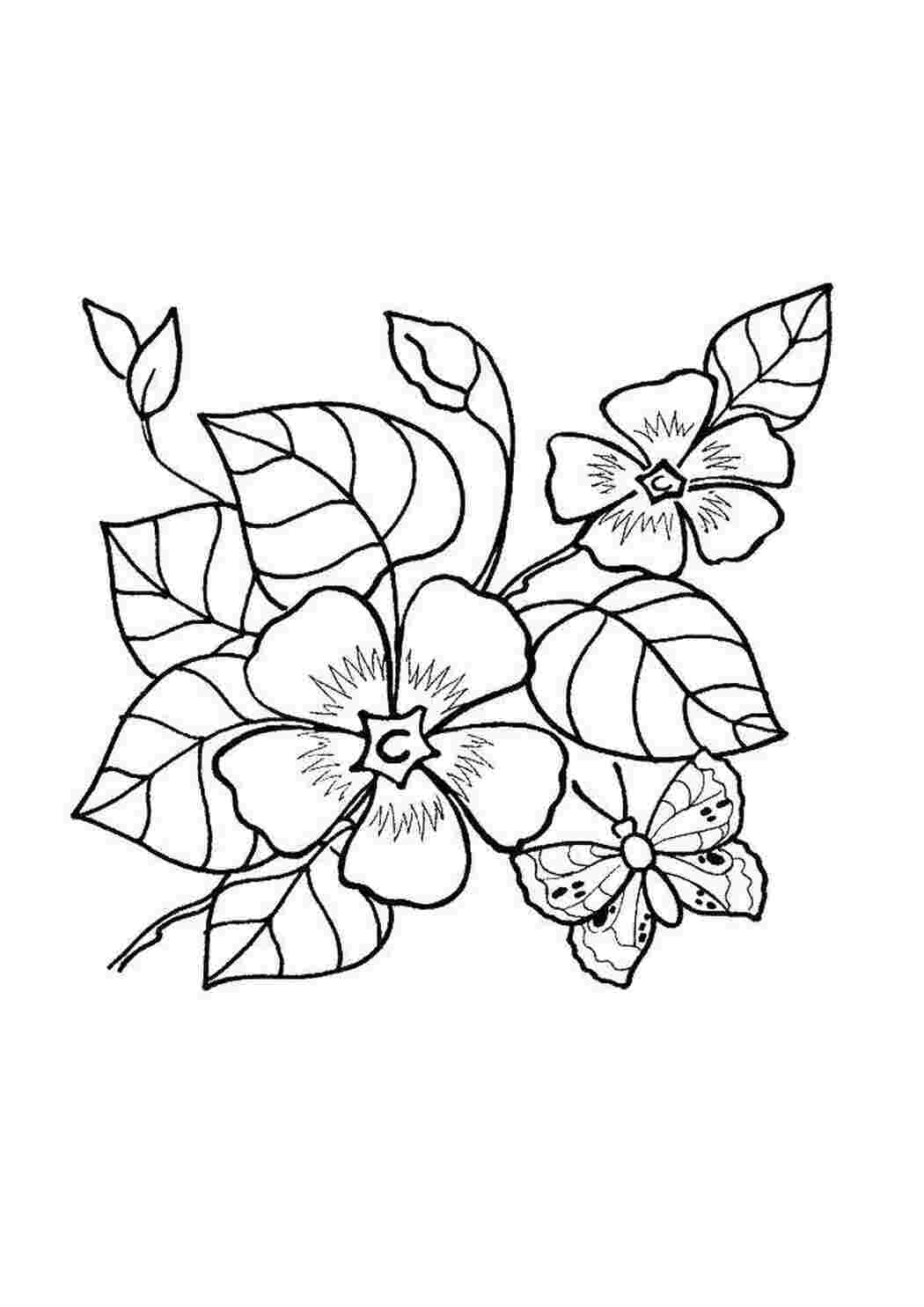 Раскраски для батика цветы