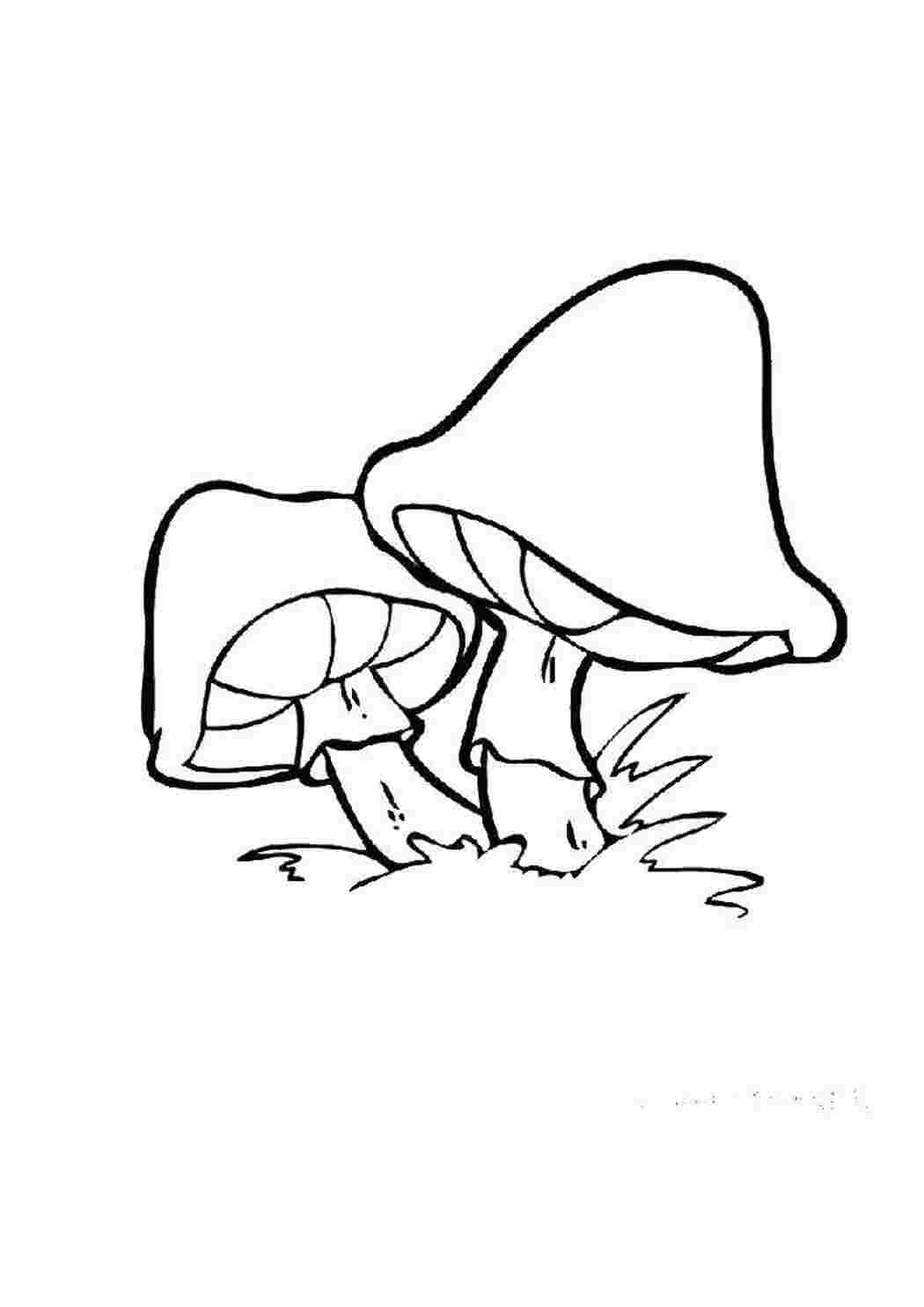 Раскраска Грибы