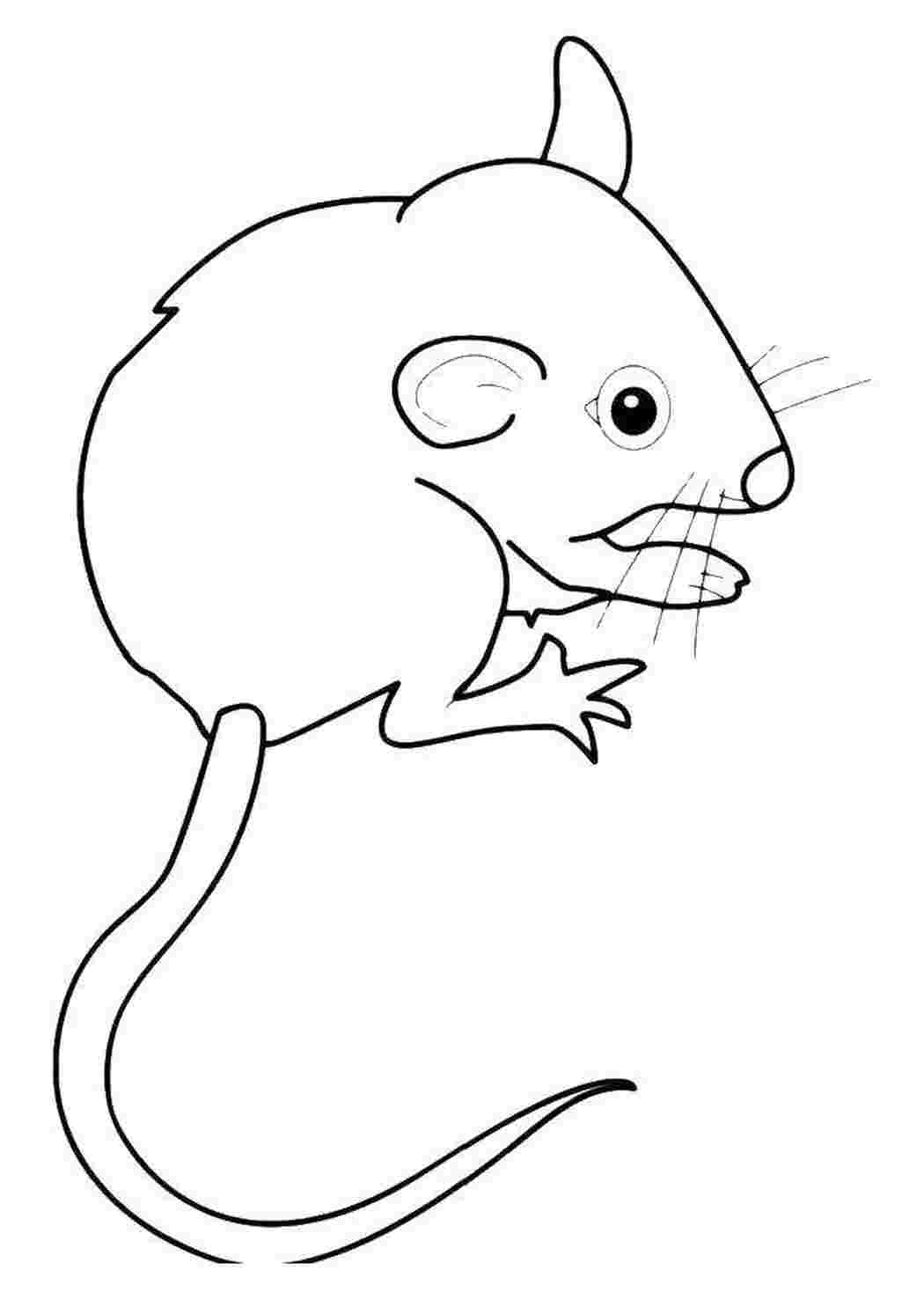 Раскраска мышь распечатать. Раскраска мышка. Мышь раскраска для детей. Мышь рисунок. Раскраска мышонок.