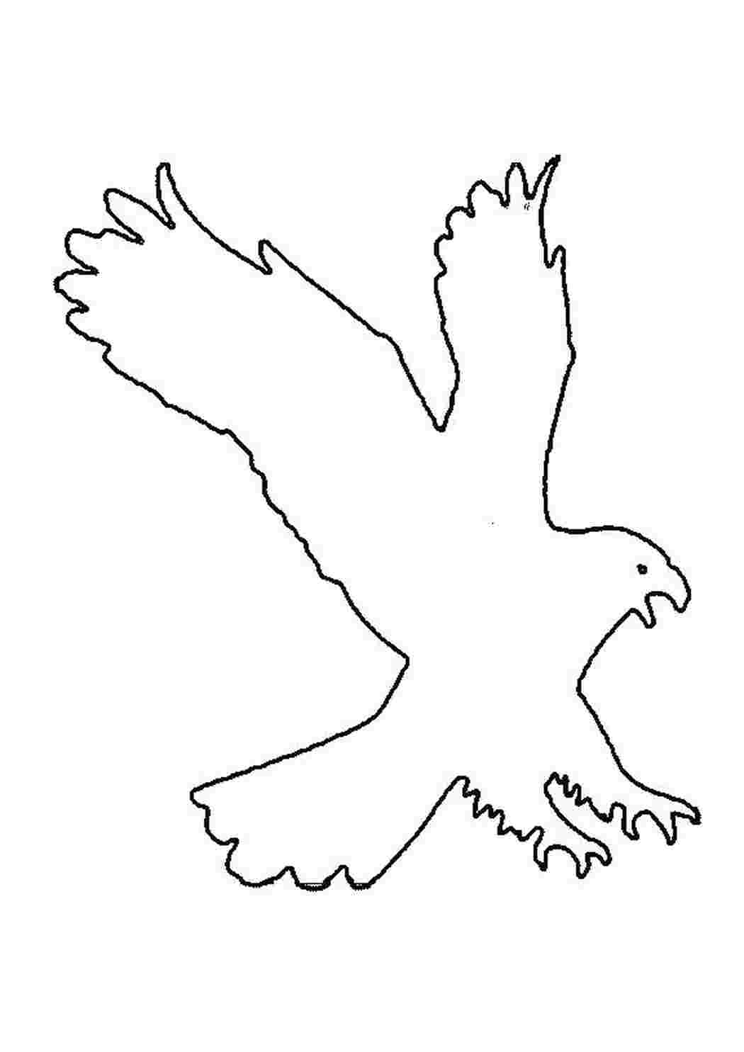 Раскраска Орёл