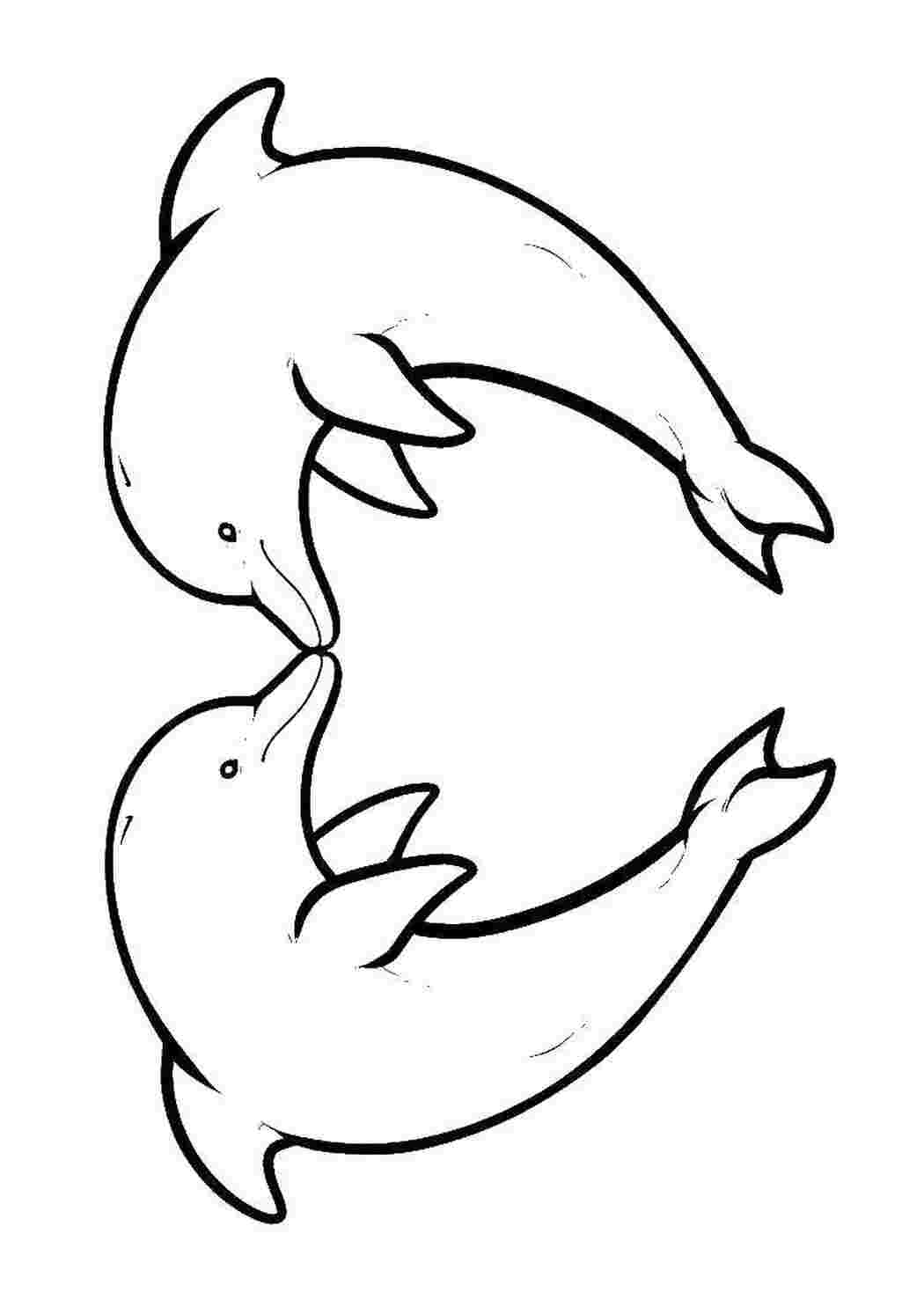 Раскраска Дельфины