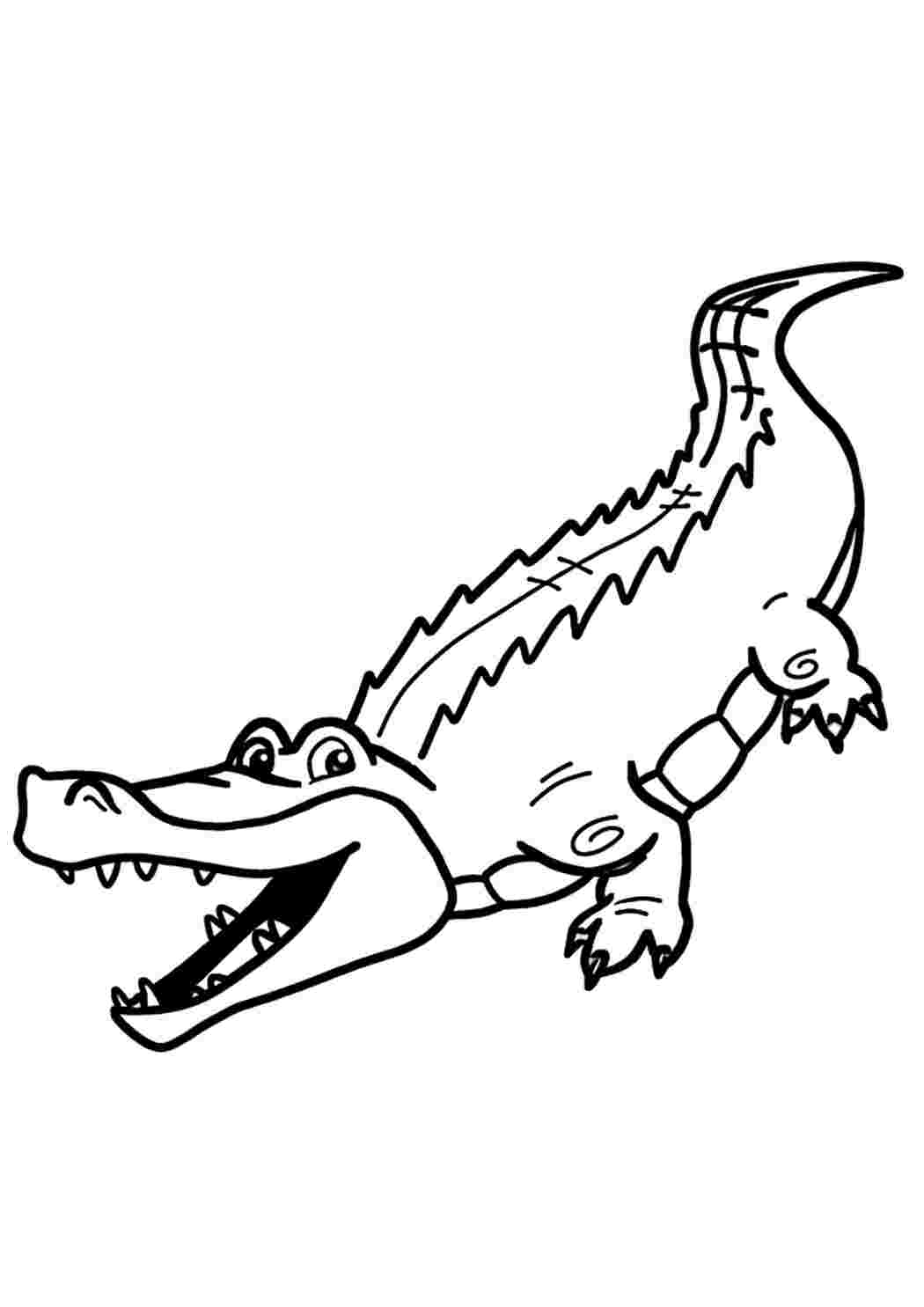Веселый крокодил раскраска