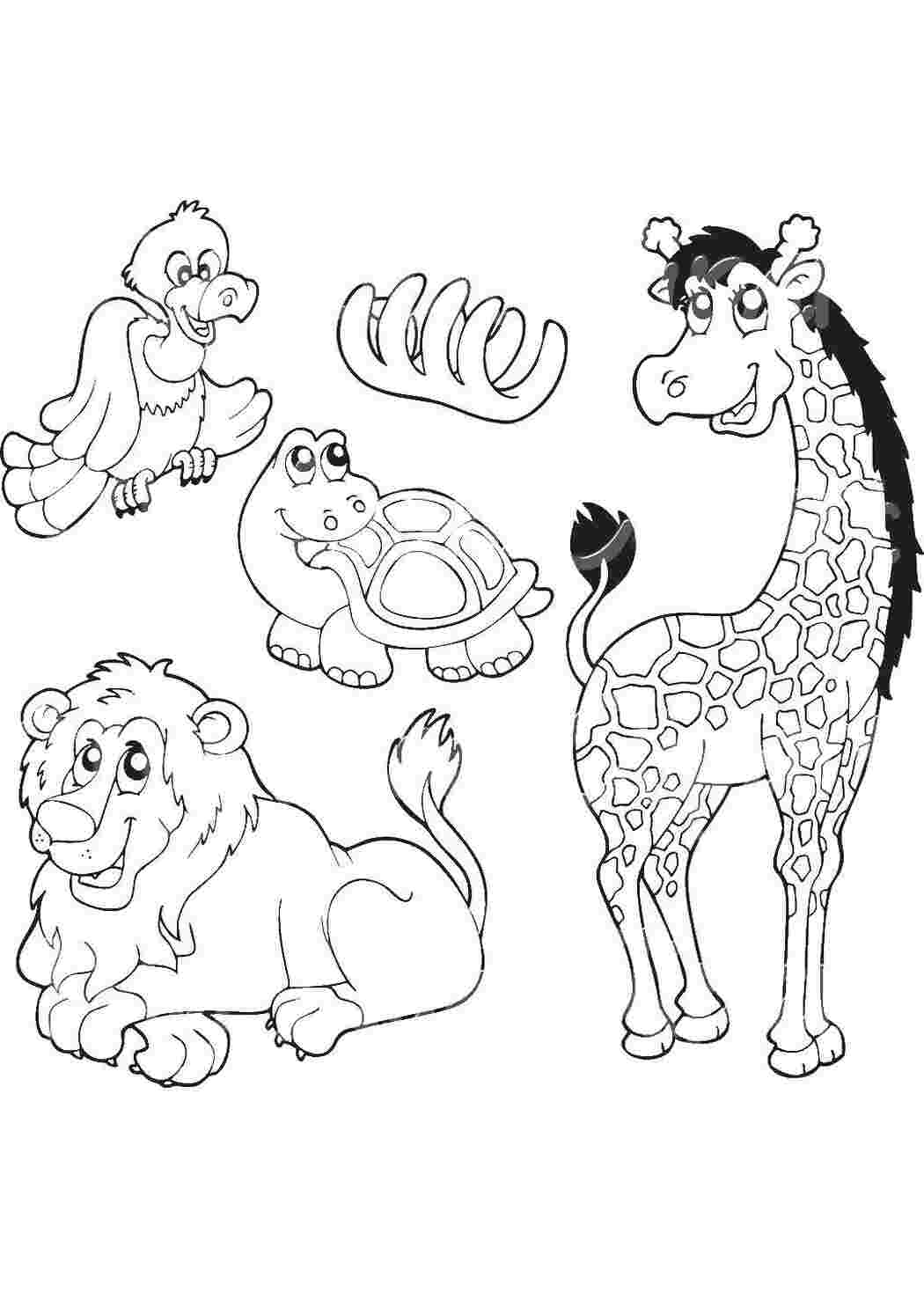 Раскраска Животные