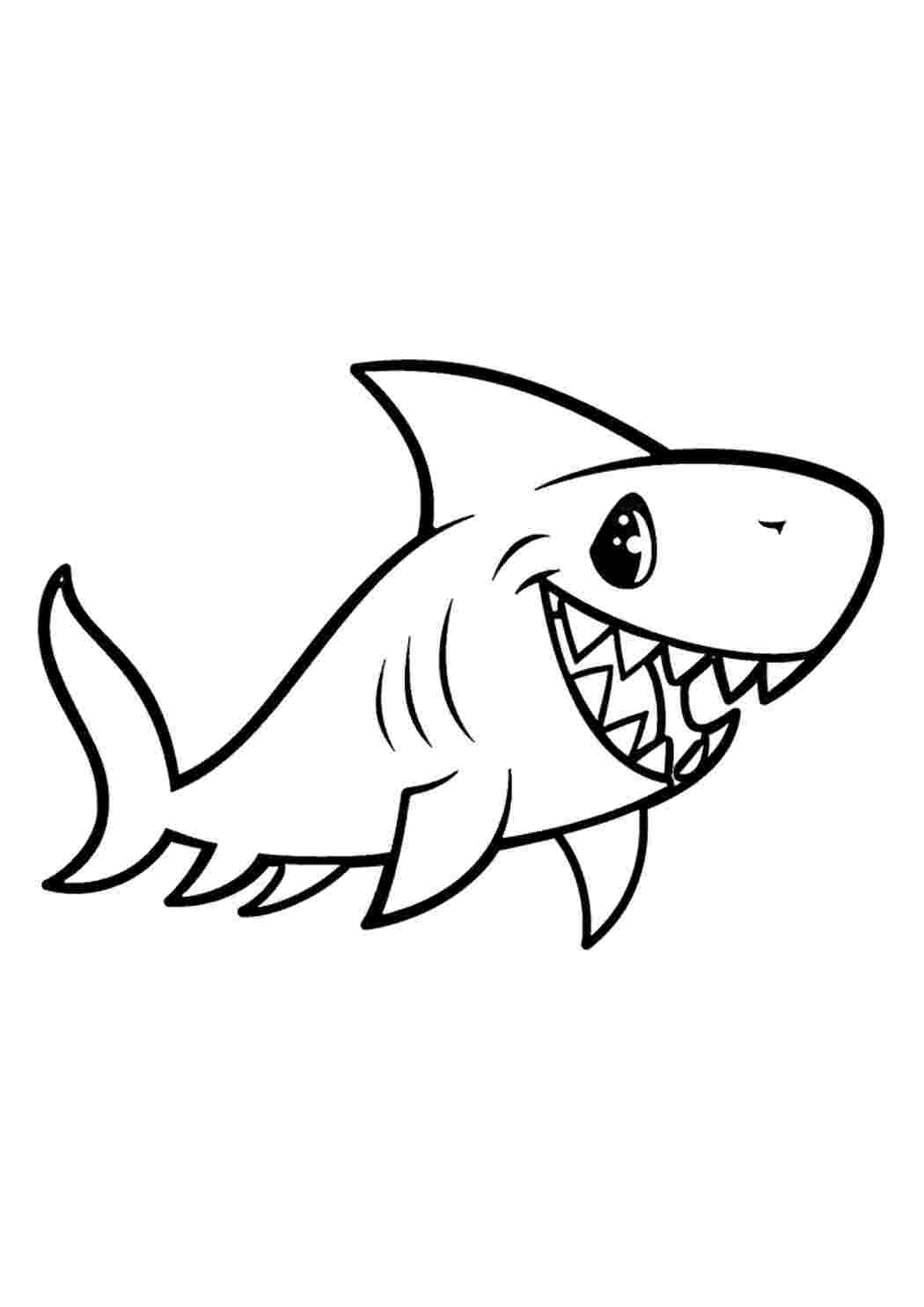 мофу санд котики. котики мофу. кот акула распечатать. раскраска киты и акулы. акула раскраска для детей.