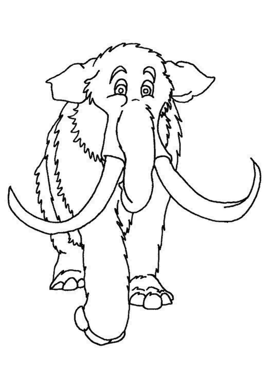 Раскраска Мамонт