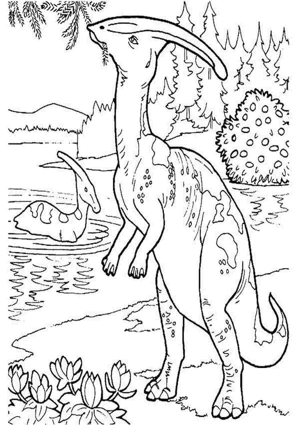 Раскраска динозавр формат а4. Динозавры / раскраска. Динозавр раскраска для детей. Раскраски для мальчиков динозавры. Динозавры картинки раскраски.