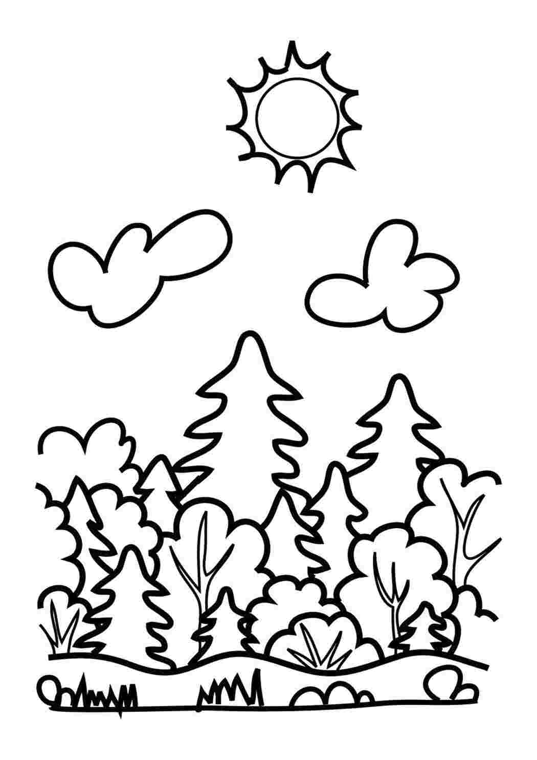 Раскраска Лес