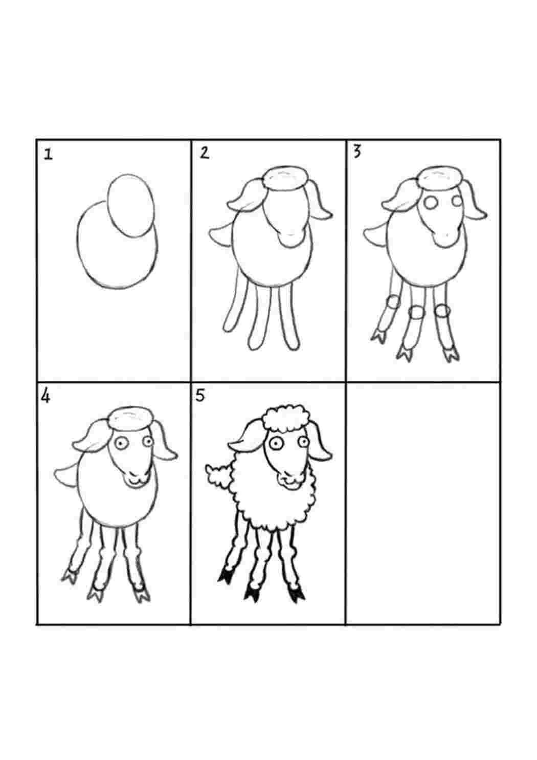 Как нарисовать овцу для детей поэтапно