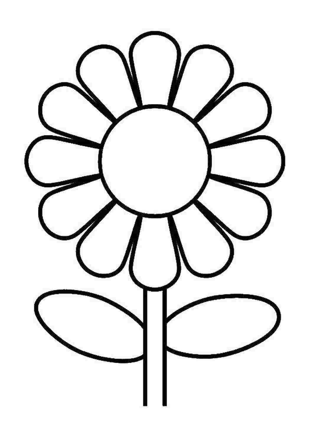 Раскраска Цветочек