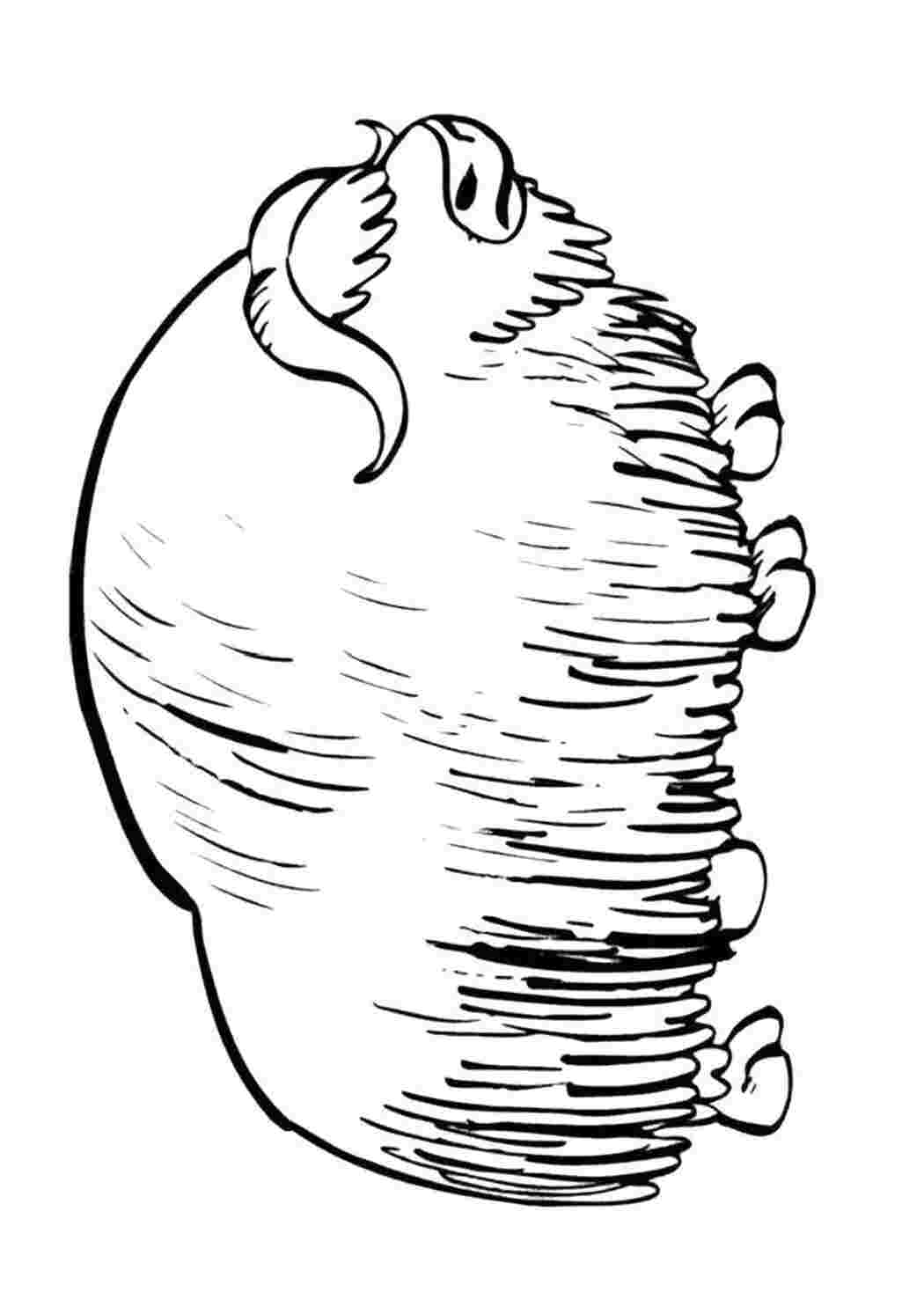 Раскраска Раскраска- Як