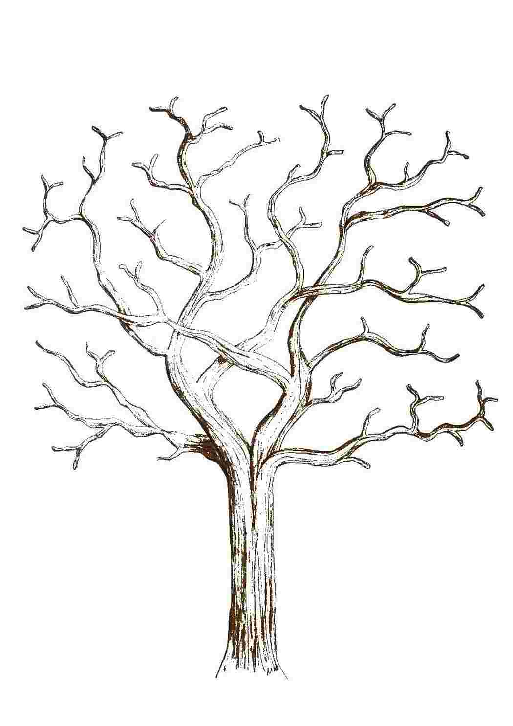 Раскраска Дерево