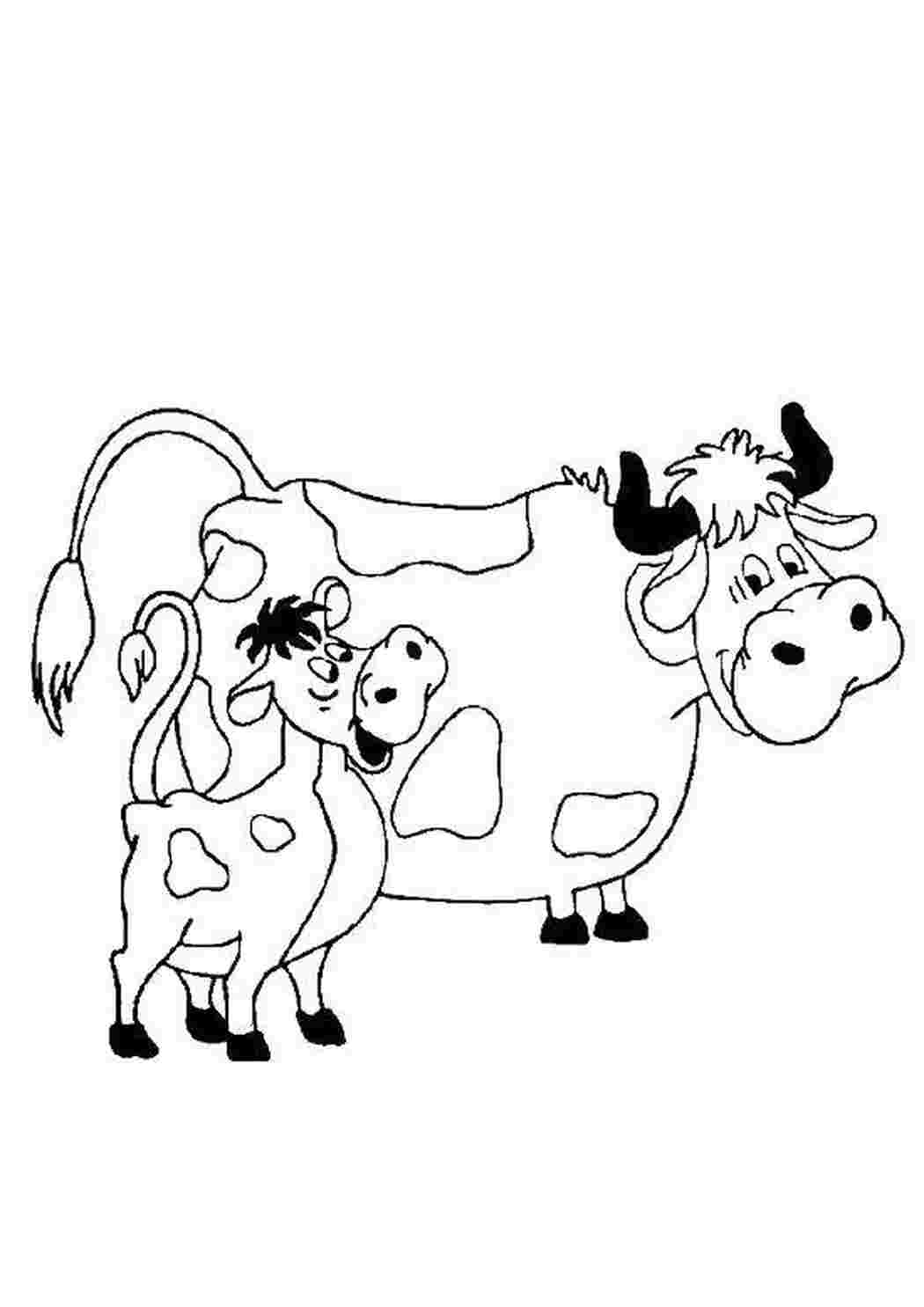 Корова бык теленок раскраска