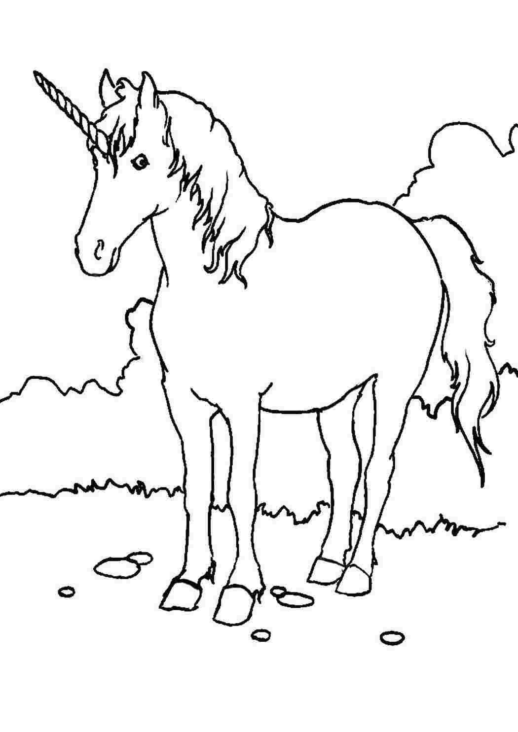 Раскраска Единорог на лугу