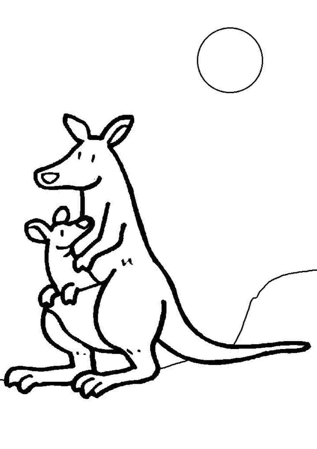 Раскраска Кенгуру