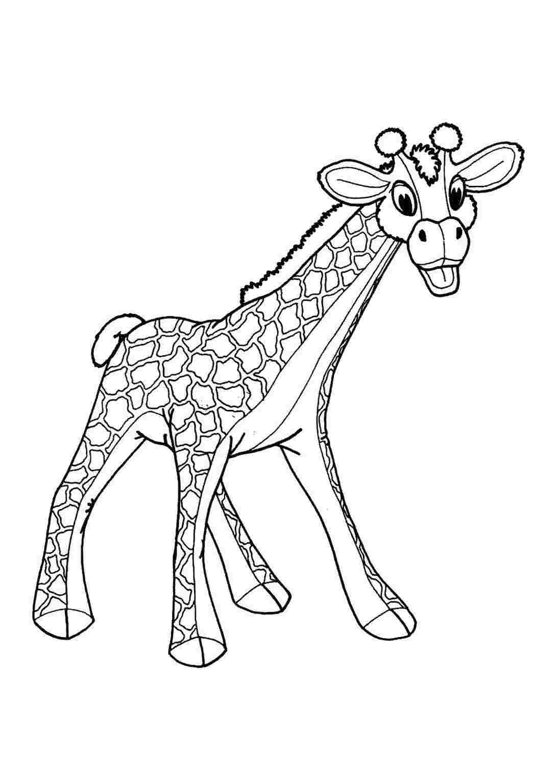 Раскраска Жираф
