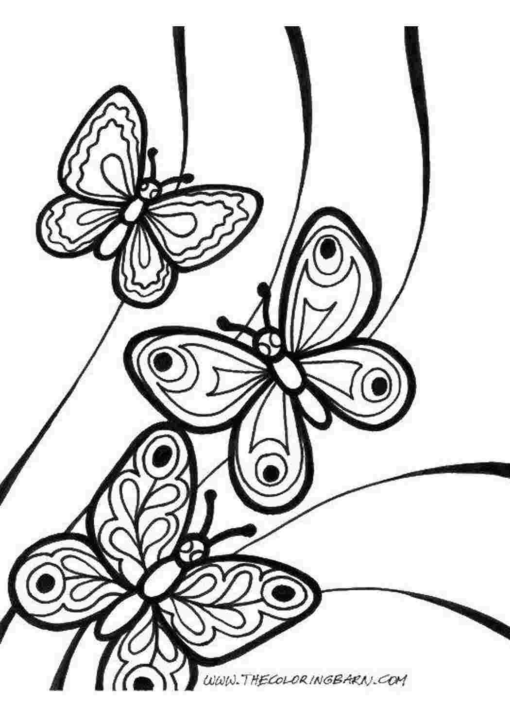 разукрашки бабочки. раскраски бабочки красивые. бабочкаэ раскраска для детей. бабочка шаблон для раскрашивания. бабочка для раскрашивания для детей.