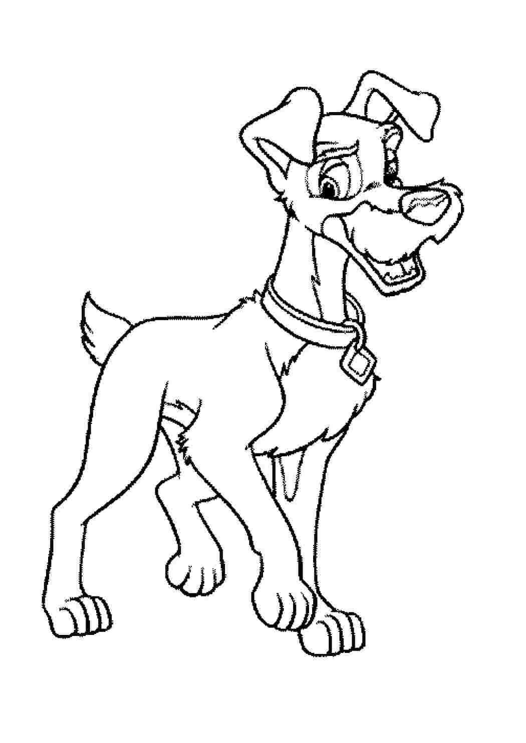 Раскраска Бродяга