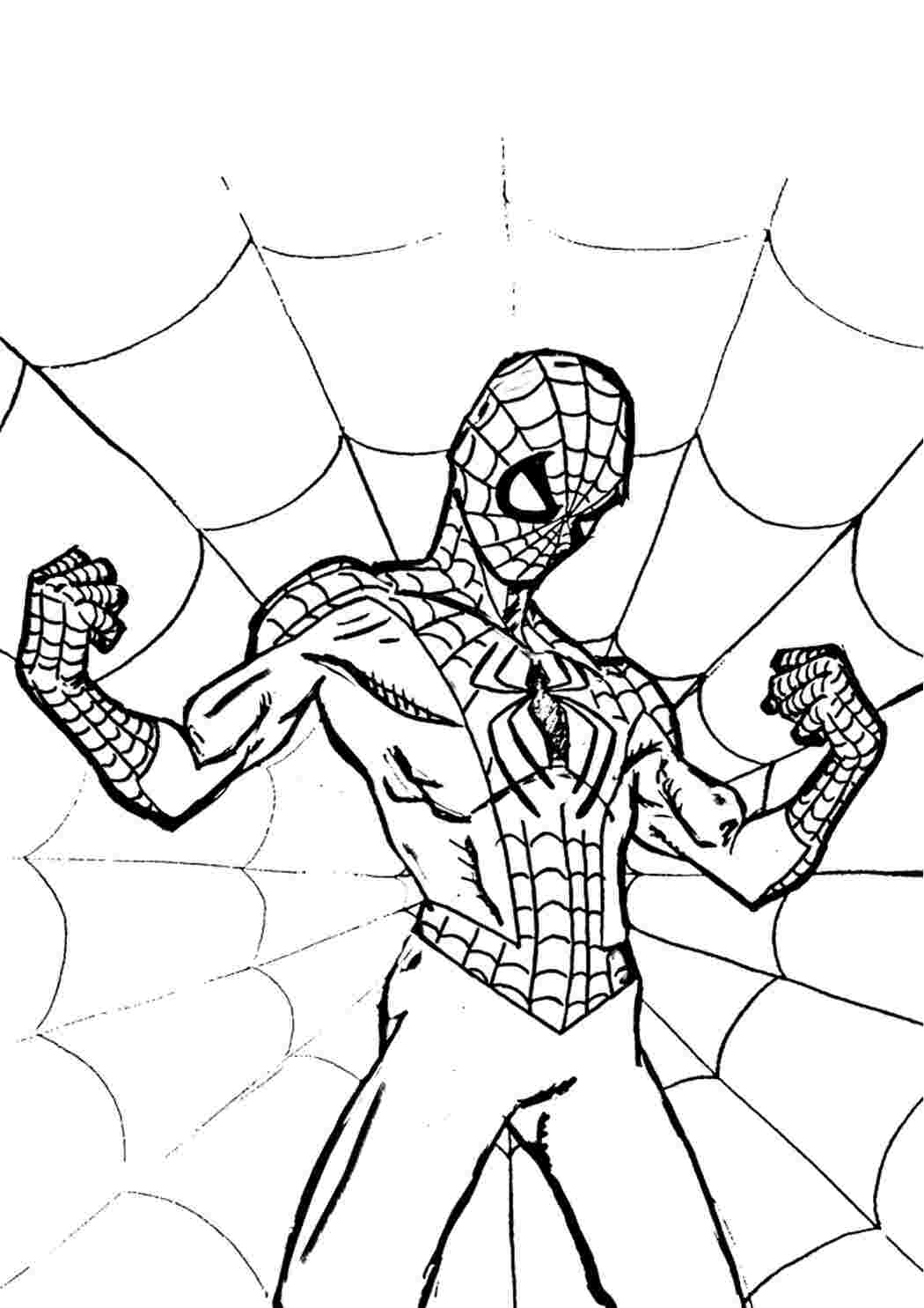 Раскраска человек паук без маски