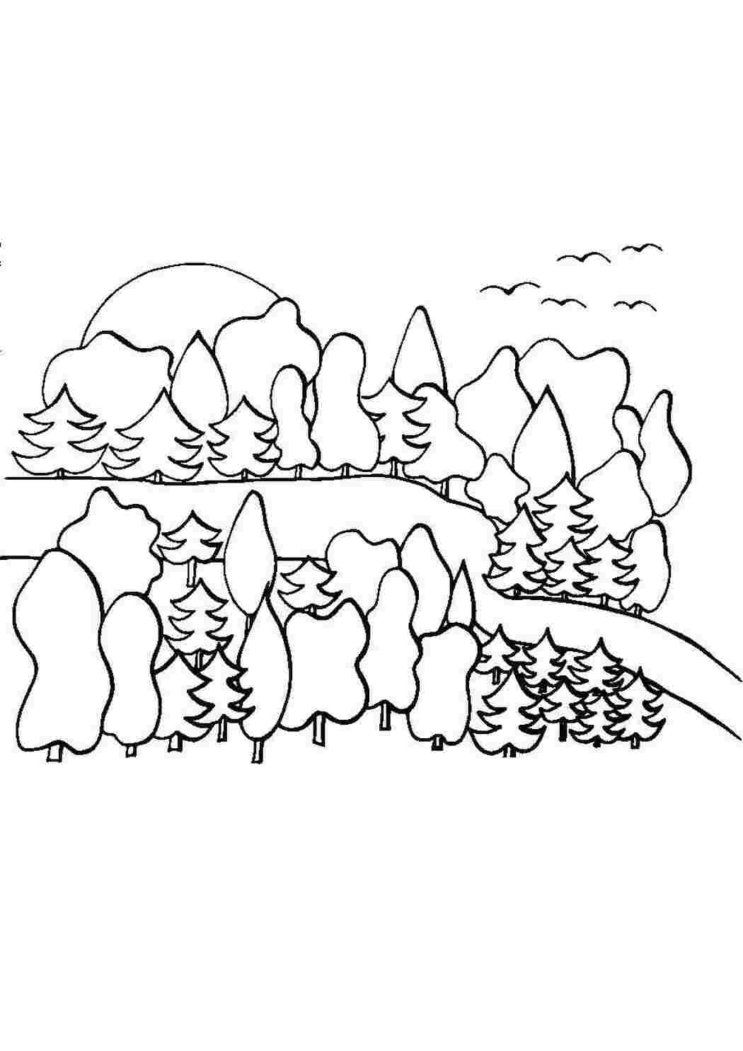 Раскраска Лес