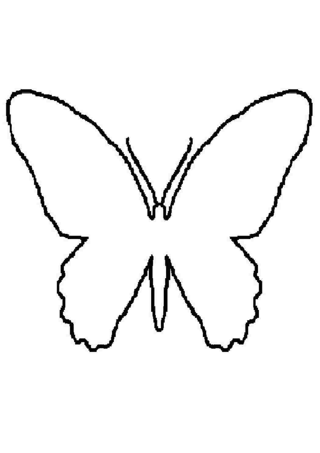 Шаблон бабочек для печати. Трафареты бабочки. Бабочка шаблон для вырезания. Бабочка контур. Контур бабочки трафарет.