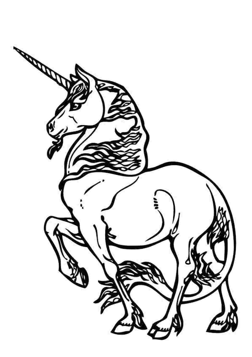 Раскраска  Единорог