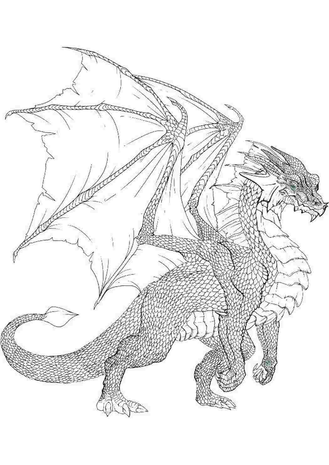 Раскраска Мелкая чешуйка