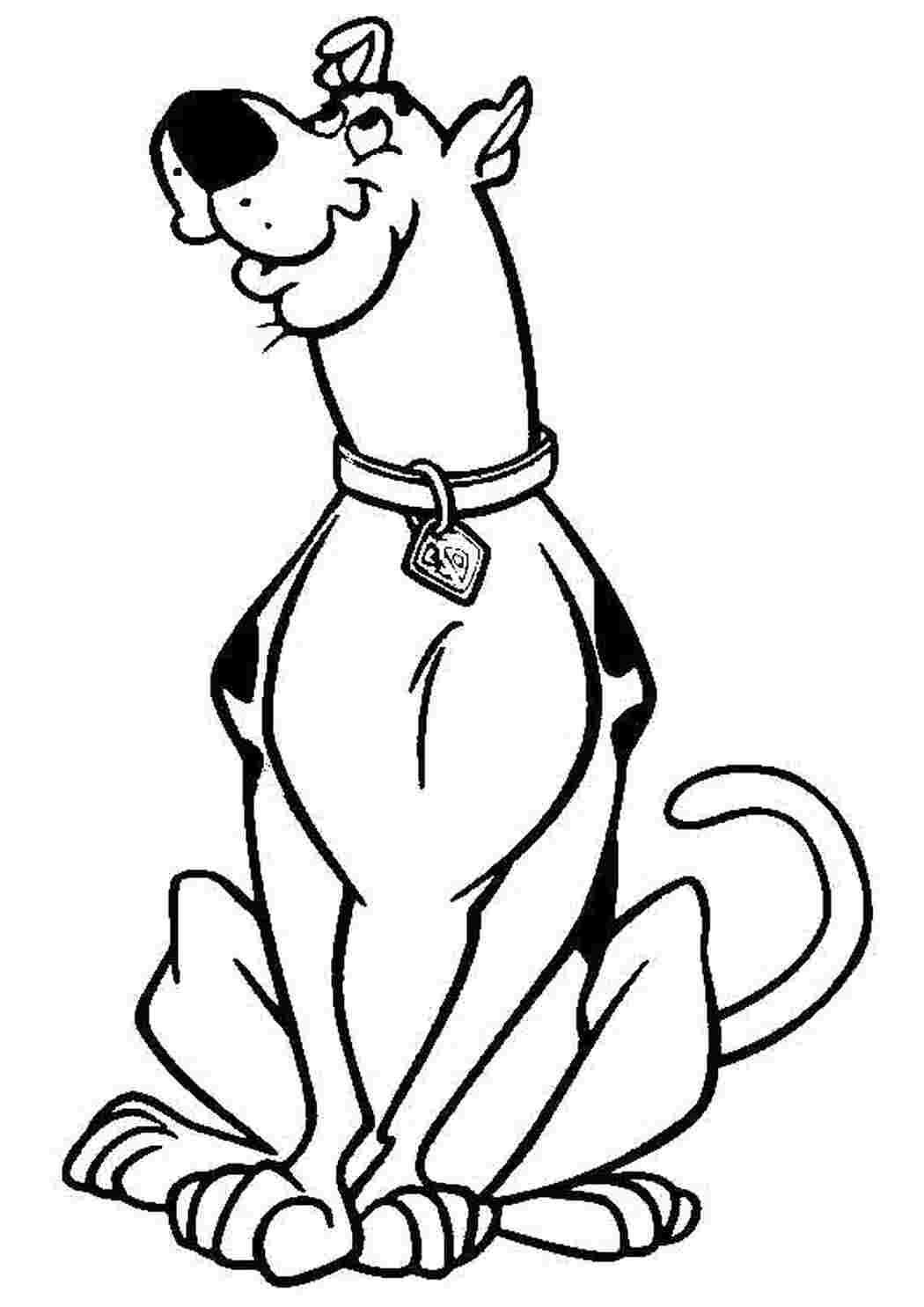 Раскраска Скуби